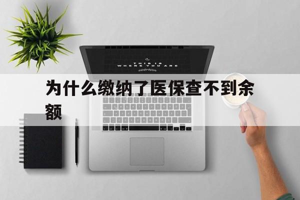 桐乡最新为什么缴纳了医保查不到余额方法分析(最方便真实的桐乡医保交了费怎么查不到方法)